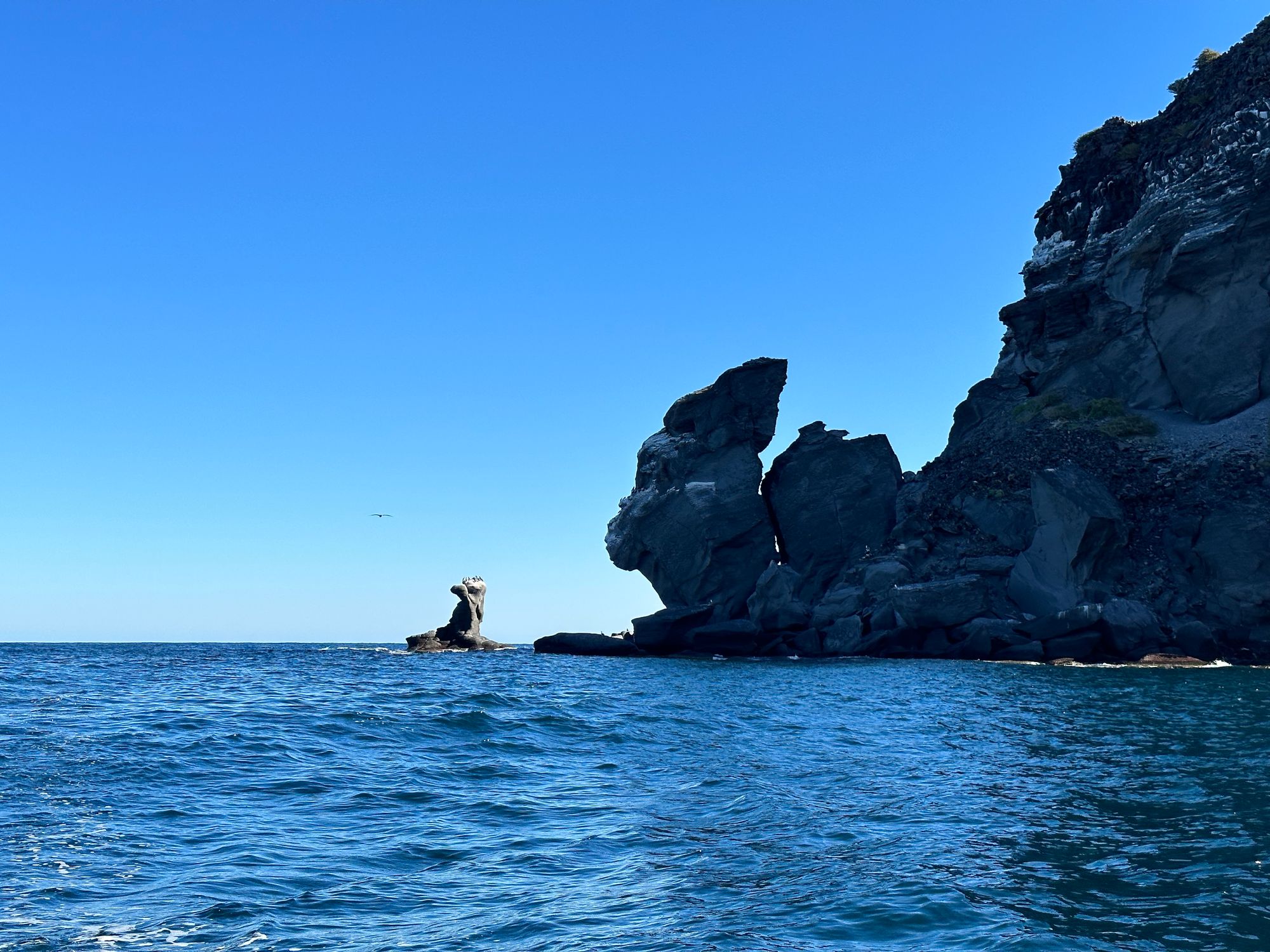 Feliz Navidad: Photos from Mexico