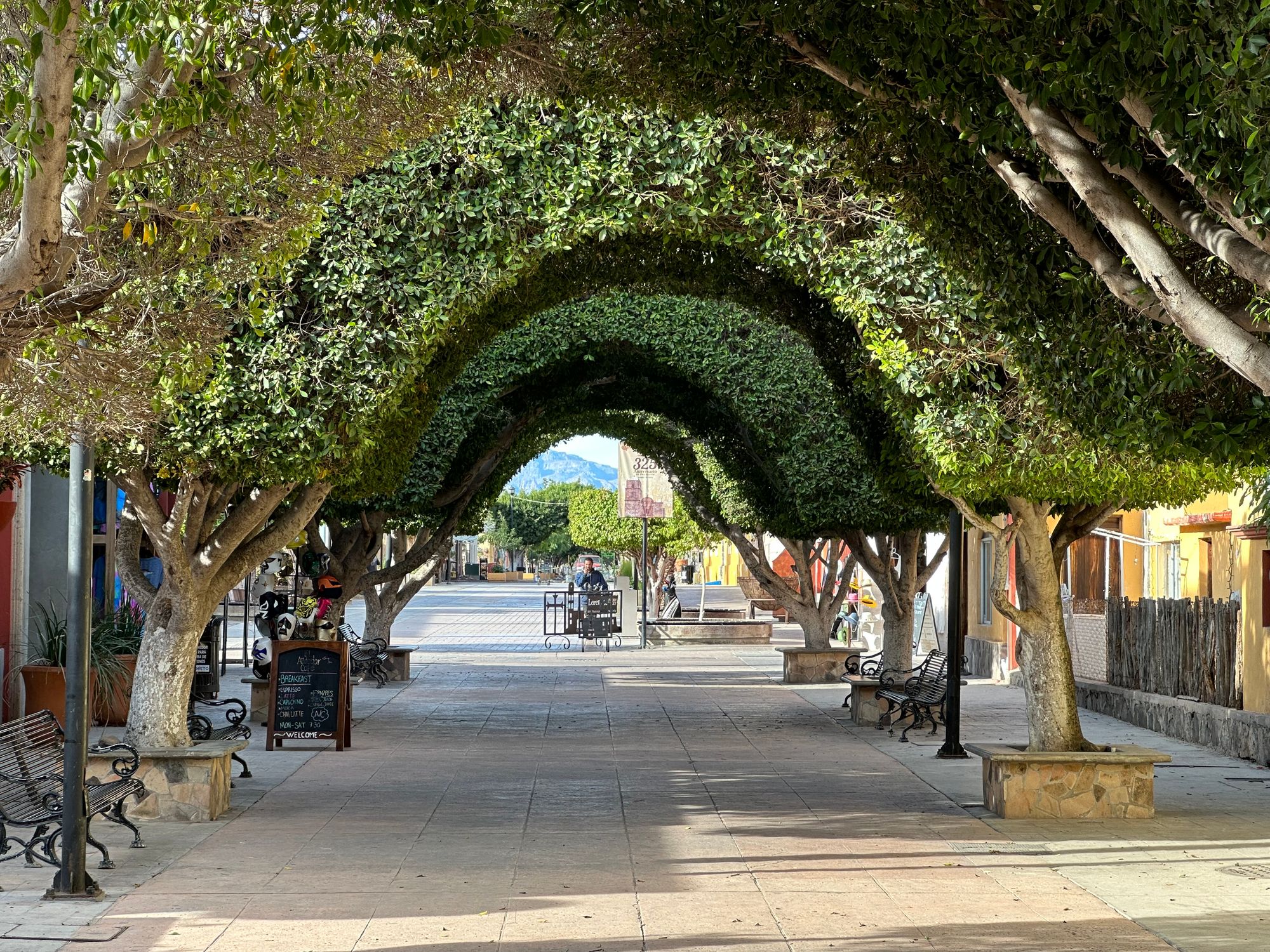 Feliz Navidad: Photos from Mexico